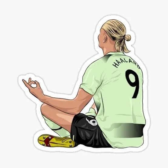 Haaland Stickers