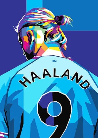 Haaland Stickers — view 3