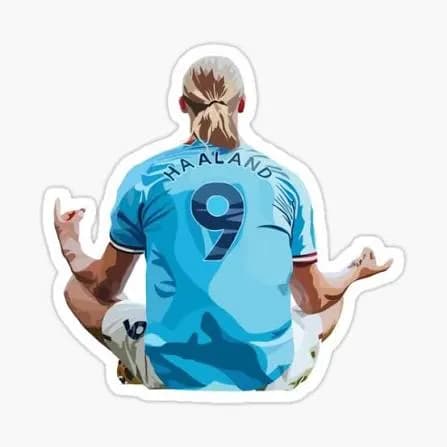 Haaland Stickers — view 4